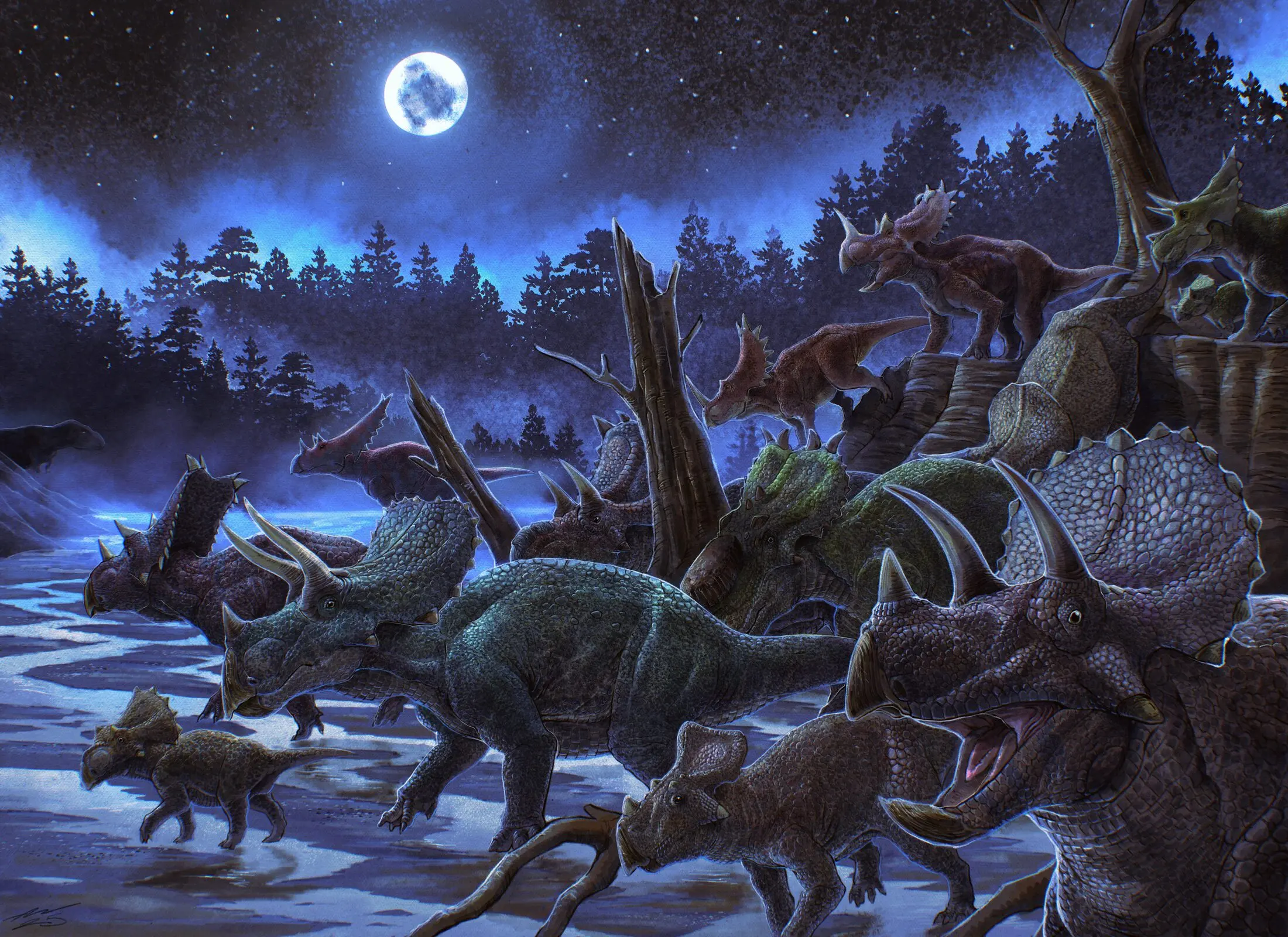 A herd of ceratopsids crosses a moonlit river under a starry sky while a tyrannosaur watches from the far bank.